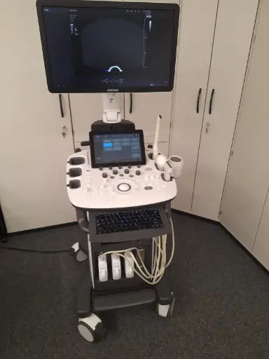 Samsung HS60 Ultraschallsystem [ID-1010]